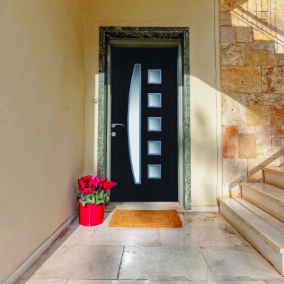 panneau PORTE D'entrée pvc N°2